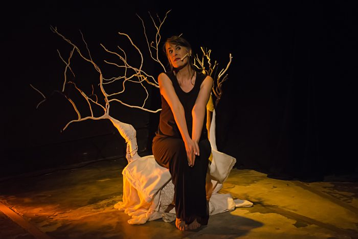 de la raiz a la luna 3 2 e1669285377947 3955216652 e1669295958496